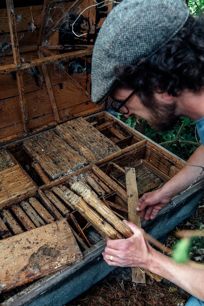 Bienen Umsiedeln Mai 2020